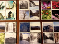 Photo Coasters Collection