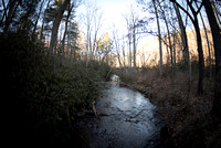 Bent Creek - at NC Arboretum and Lake Powhatan, Asheville, NC