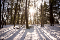 Arboretum - Snowy visit - December 27, 2020