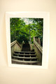 Steps from Triple Falls Signed Art Card - 4x6 print on 5x7 card