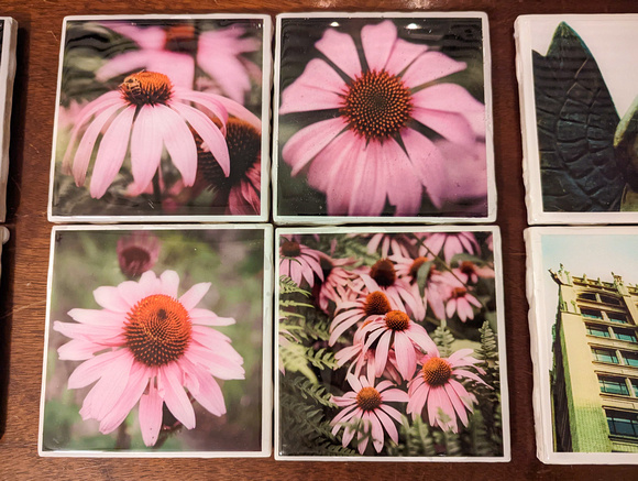 Coneflower Set