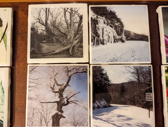 Winter Parkway and Trees