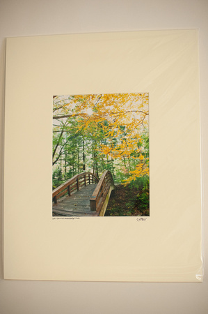 Botanical Gardens Bridge matted in almost white cream - 8x10 matted to 16x20