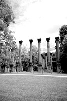 Windsor Ruins, Mississippi - Archive request