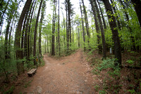 NC Arboretum - April 25, 2019