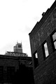 CCP_8768
