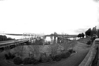 Vicksburg bridges and river overlooks - and a special tree